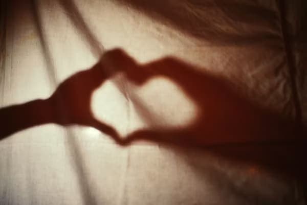 Couverture de Comment survivre en tant qu’hypersensible dans une société insensible ?